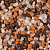 Marmodecor-coral  +