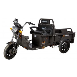 Evotools Triciclu Electric Cargo TRCC800 Prâslea