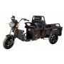 Evotools Triciclu Electric Cargo TRCC800 Prâslea