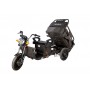 Evotools Triciclu Electric Cargo TRCC800 Prâslea