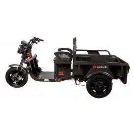 Evotools Triciclu Electric Cargo TRCC800 Prâslea