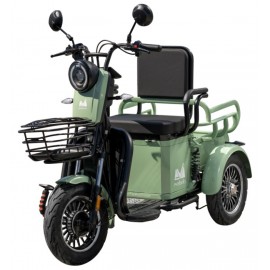 Evotools Triciclu Electric Persoane TRP500 Deceneu culoare verde