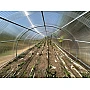 Policarbonat pentru sere 1.06m x 2m, placă policarbonat compact/solid ondulat 30/10, grosime 1mm, protejat UV, transparent-clar (preț/buc)