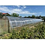 Policarbonat pentru sere 1.06m x 2m, placă policarbonat compact/solid ondulat 30/10, grosime 1mm, protejat UV, transparent-clar (preț/buc)