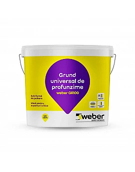 Weber GR100 Grund universal de profunzime 5kg