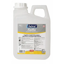 Hera Falfix grund de adâncime pentru interior/exterior 2l